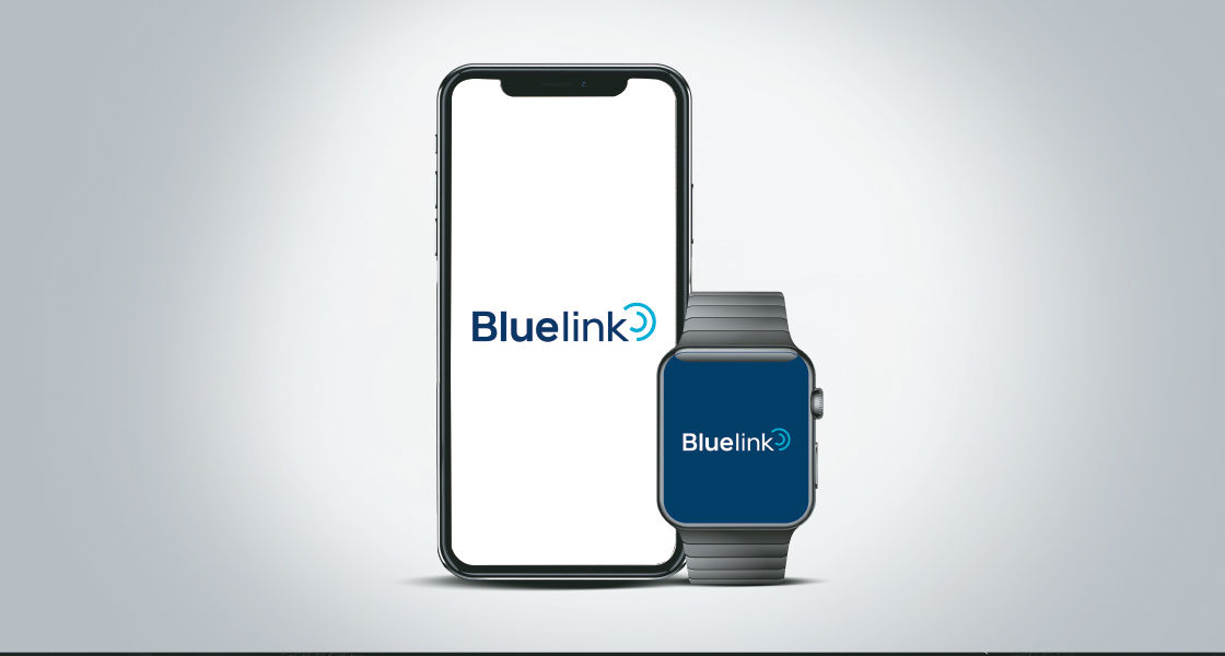 60+ Bluelink connected features